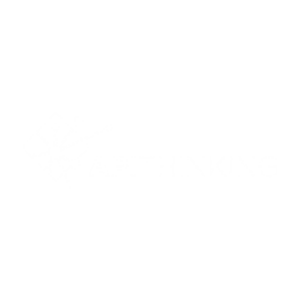 Api Thinking